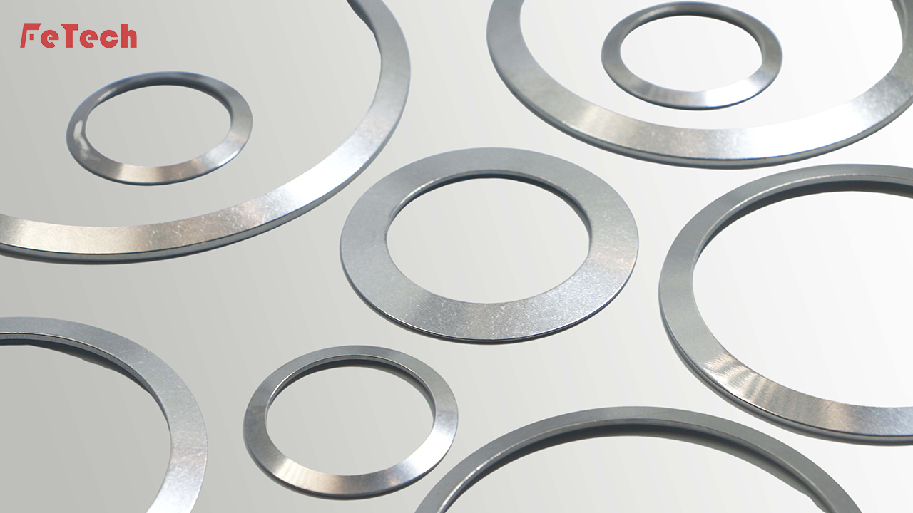 Valve Disc Spring
