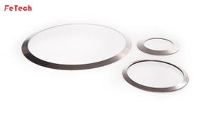 Valve Disc Spring